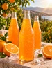 Orange Soda Fragrance Oil