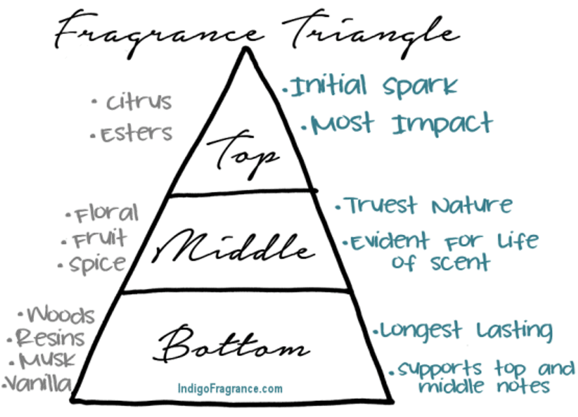 Explaining The Fragrance Oil Triangle