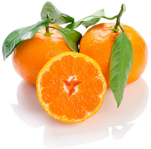 Satsuma Fragrance Oil