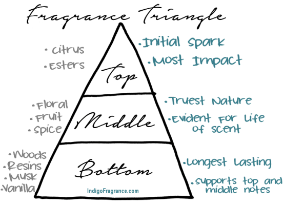 Fragrance Oil Triangle Infographic