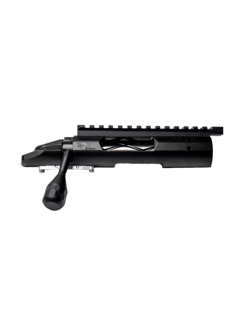 Kauger_Arms__00847.1654880305.