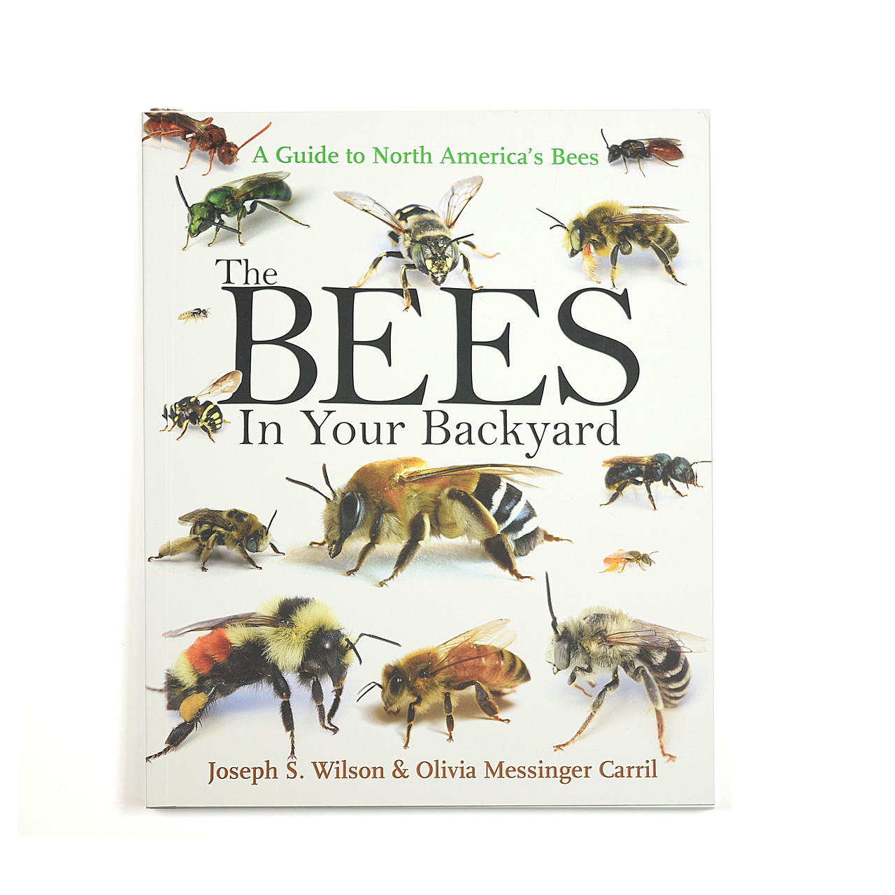 Bees In Your Backyard Hudson Valley Bee Supply