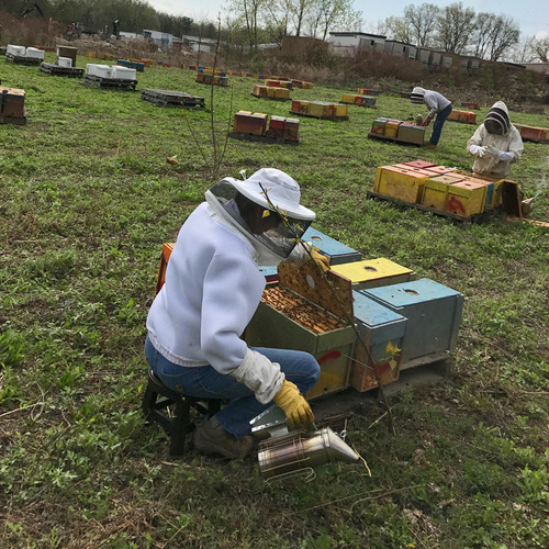 Nucleus Colony - Mid April - 2026