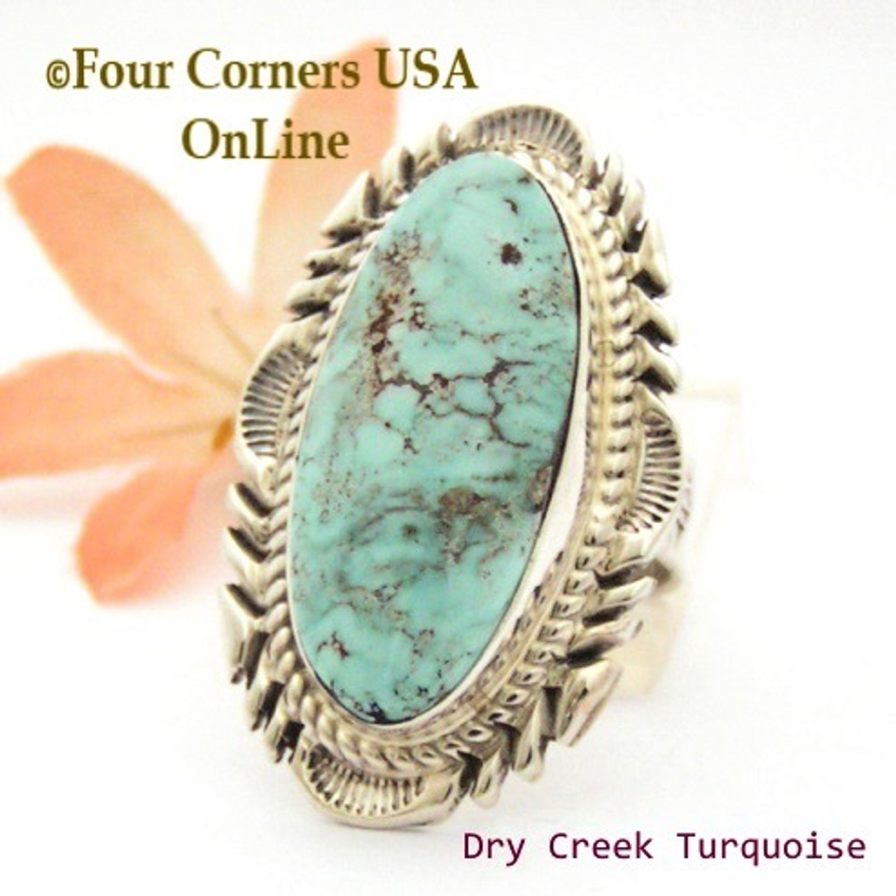 Size 9 Dry Creek Turquoise Large Stone Ring Navajo Artisan Thomas Francisco  NAR-1801 Special Buy Final Sale