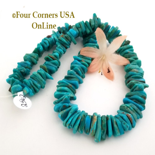 16mm Graduated FreeForm Slice Kingman Turquoise Beads Designer 16 Inch Strand BDZ-2562 Four Corners USA OnLine Designer Jewelry Making Supplies