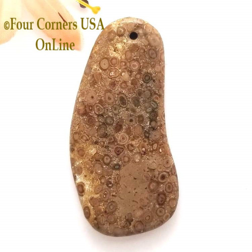 Florida Agatized Fossil Coral No 2 Jewelry Component Special Buy Final Sale BDZ-1929 Four Corners USA OnLine Jewelry Making Beading Craft Supplies
