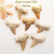 Fossilized Moroccan Shark Teeth 7 Unit Bulk Four Corners USA OnLine Jewelry Making Beading Craft Supplies