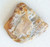 Florida Agatized Fossil Coral Jewelry Making Component - #1 (O-09070-1)