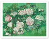 Pink Roses (Rosa Rosen) - c. 1890 - Poster by Vincent van Gogh