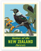 Natives of the New Zealand Forests - Karaka Berry - Tui Bird - c. 1950 - Poster by Marcus King