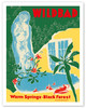 Bad Wildbad - Black Forest, Germany - Warm Springs - Palais Thermal Baths - c. 1950 - Vintage Travel Poster
