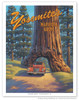 Mariposa Grove - Yosemite National Park - Wawona Tunnel Redwood Tree - Poster by Kerne Erickson