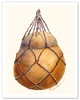 No'u No'u - Hawaiian Tied Gourd Container (Ipu Hawele) - Poster by Peggy Chun