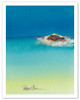 Beach Bum - Hawaiian Monk Seal Basking on Tiny Island (Mokupuni) - Poster by Peggy Chun