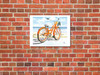 My Orange Pride - Bicycle at the Beach