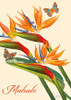 Paradise & Butterflies - Mahalo / Thank You Greeting Card Paradise & Butterflies - Mahalo / Thank You Greeting Card