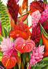 Tropicanna - Mahalo / Thank You Greeting Card Tropicanna - Mahalo / Thank You Greeting Card