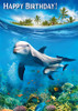 Dolphins - Happy Birthday Greeting Card Dolphins - Happy Birthday Greeting Card