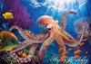 Octopus - Happy Birthday Greeting Card
