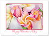 Plumeria Morning - Collectors Edition - Valentine's Card Plumeria Morning - Collectors Edition - Valentine's Card