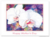 Optimum Orchid - Collectors Edition - Mother's Day Card Optimum Orchid - Collectors Edition - Mother's Day Card