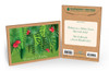 Tropical Holiday Leaves - Holiday Box Set Greeting Card