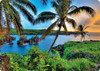 Where da Coconuts Grow - Hawaiian Thick Premium Postcard Where da Coconuts Grow - Hawaiian Thick Premium Postcard