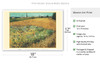 Wheatfield - Arles, France - c. 1888