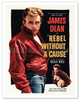 Rebel Without a Cause - Starring James Dean, Natalie Wood, Sal Mineo - c. 1955