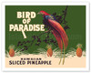 Hawaiian Sliced Pineapple - Bird of Paradise Brand - c. 1920's - Vintage Advertisement Poster