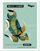Pacific Islands - Qantas Airways - Green Sea Turtle - Poster by Harry Rogers