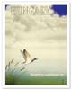 Hungary - Hortobágy National Park - Hungarian Duck - Poster by György Konecsni