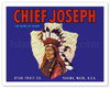 Chief Joseph Apples - Ryan Fruit Company - Washington State - c. 1915 - Vintage Advertisement Poster