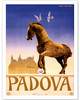 Padova, Italy - Trojan Horse - The Pontifical Basilica of Saint Anthony of Padua - Poster by Lamberto Barbi - Giorgio Benvignati