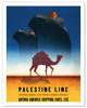 Palestine Line - Gdynia-America Shipping Lines - Polish Ocean Liners SS Kościuszko and SS Polonia - Poster by Tadeusz Trepkowski