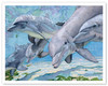 Five Dolphins (‘Elima Mau Nai‘a) - Hawaiian Bottlenose - Poster by Janet Stewart