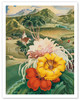 Hawaii USA, 1942 Hawaii Tourist Bureau booklet - Hawaiian Landscape & Flowers - Poster by Andre