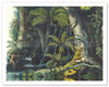 Amazon Rain Forest, Brazil - Palm Trees - Hunting Cheetah