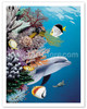 Dolphin's Reef, Hawaii - Poster by Mark MacKay