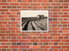 Tractored Out - Childress County, Texas - c. 1938