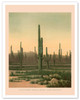 Cactus Grove Arizona - Cereus Giganteus - c. 1871 - Poster by George Montague Wheeler