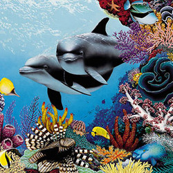 Mark MacKay Mark MacKay