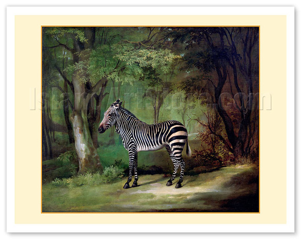 Queen Charlotte’s Zebra - c. 1763 - Poster by George Stubbs