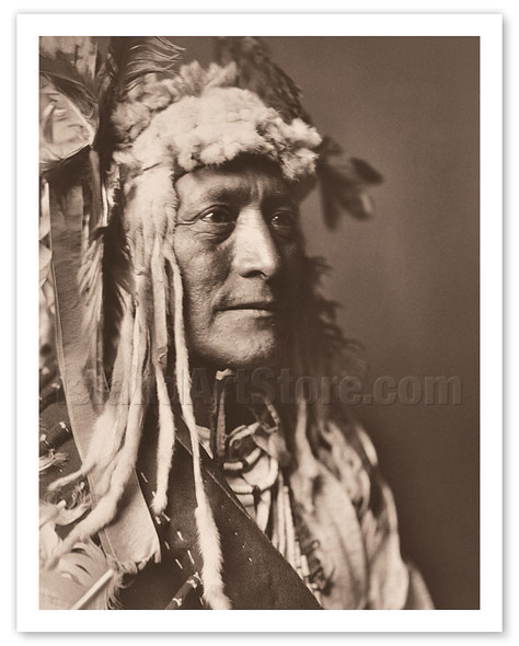 Hidatsa Man Wearing White Duck Headdress - North American Indian - c. 1908 - Poster by Edward S. Curtis