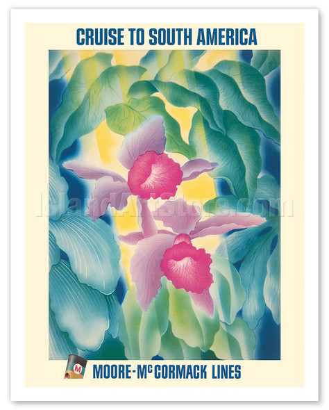 Cruise to South America - Tropical Orchids - Moore-McCormack Lines - c. 1950's - Poster by C.A. Rosser
