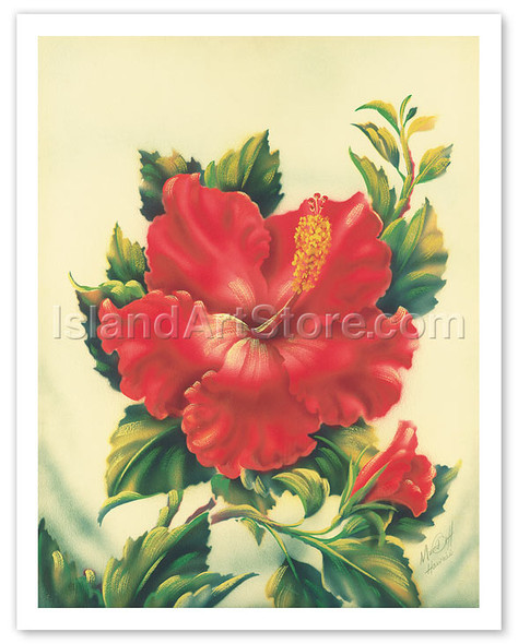 Red Hibiscus, Hawaiian Tropical Flower - Poster by Ted Mundorff