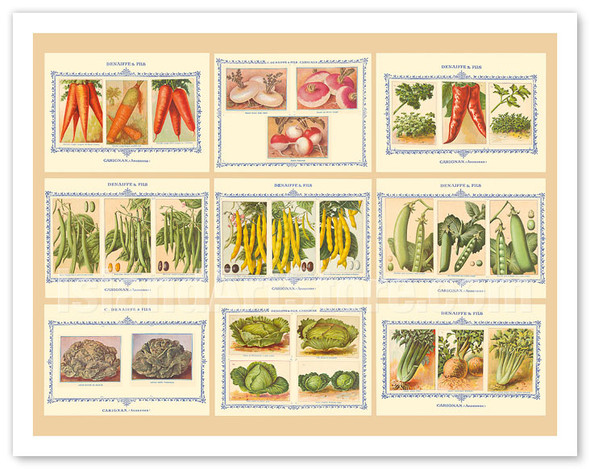 French Seed Packet Collage - Denaiffe and Son - c. 1910's - Vintage Botanical Illustration