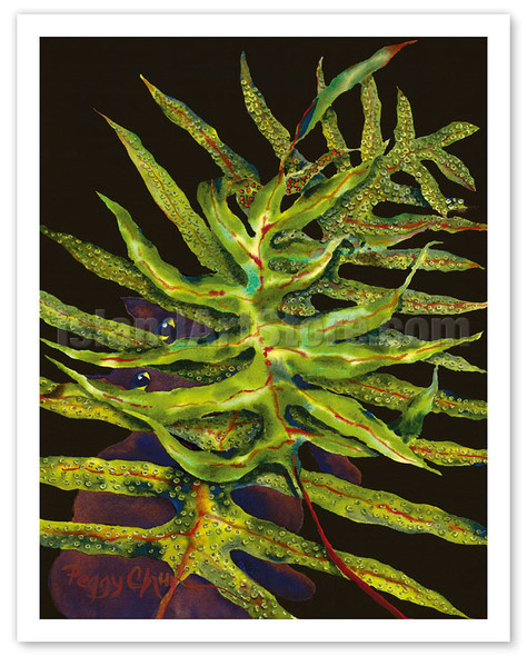 Boo and Laua'e Fern - Hawaiian Black Cat ('ele'ele ppoki) - Poster by Peggy Chun