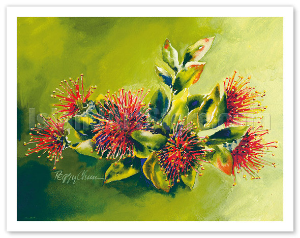 Koke'e Ohia - Native Hawaiian Ohia Lehua Tree Blossom - Poster by Peggy Chun