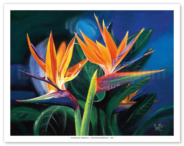 Birds of Feather - Hawaiian Birds of Paradise - Poster by Scott Westmoreland